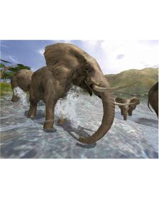 Wild Earth Africa (PC) (New)