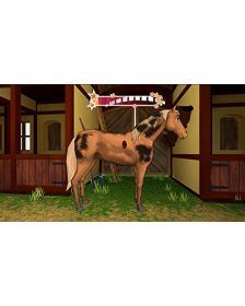 Bibi & Tina at the Horse Farm (PS4) (New)