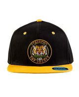 Gaya Entertainment Call of Duty: Black Ops Cold War Snapback Top Secret Patch Cap (New)