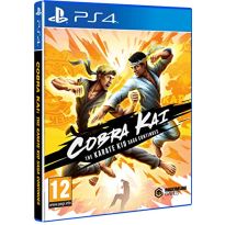 Cobra Kai: The Karate Saga Continues (PS4) (New)