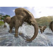 Wild Earth Africa (PC) (New)